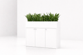 Vyra Series – Office Planter Box