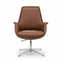 Nexis Visitor – Brown
