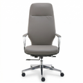 Nexis Visitor – Grey