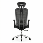 Astra Prime Executive