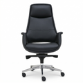 Nexis Executive – Black