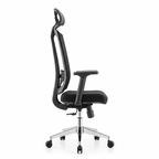 Astra Prime Executive