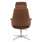 Nexis Visitor – Brown